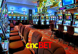 Casino Ao Vivo cncbet
